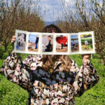 Album harmonika - Slika 2